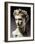 Augustus, 63 BC-14 AD, Roman emperor-null-Framed Premium Photographic Print