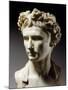 Augustus, 63 BC-14 AD, Roman emperor-null-Mounted Photographic Print