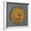 Augustus Aureus, Minted by Mint of Lyon, Verso, Roman Coins BC-null-Framed Giclee Print