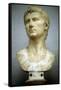 Augustus Caesar - Gaius Julius Caesar Octavianus (63 BC-14 A), First Roman Emperor-null-Framed Stretched Canvas