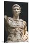 Augustus Prima Porta. Vatican Museums-null-Stretched Canvas