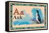 Auk-null-Framed Stretched Canvas