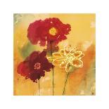 Sunflowers II-Aunaray Carol Clusiau-Giclee Print