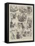 Aunt Jane's Doctors-William Ralston-Framed Stretched Canvas