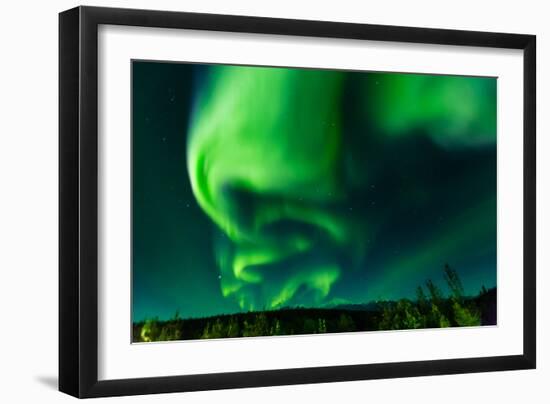 Aura Borealis (Northern lights) in Denali Wilderness National Park, Alaska, USA, North America-Laura Grier-Framed Photographic Print