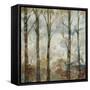 Aural Arbor I-Jennifer Goldberger-Framed Stretched Canvas