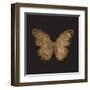 Aurelian Butterfly 1-Morgan Yamada-Framed Art Print