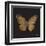 Aurelian Butterfly 1-Morgan Yamada-Framed Art Print