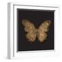 Aurelian Butterfly 1-Morgan Yamada-Framed Art Print