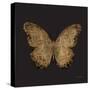 Aurelian Butterfly 1-Morgan Yamada-Stretched Canvas