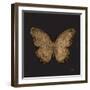 Aurelian Butterfly 1-Morgan Yamada-Framed Art Print