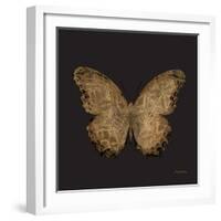 Aurelian Butterfly 1-Morgan Yamada-Framed Art Print