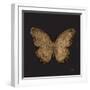 Aurelian Butterfly 1-Morgan Yamada-Framed Art Print