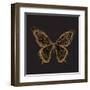 Aurelian Butterfly 2-Morgan Yamada-Framed Art Print