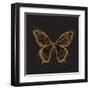 Aurelian Butterfly 2-Morgan Yamada-Framed Art Print