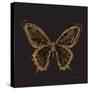 Aurelian Butterfly 2-Morgan Yamada-Stretched Canvas