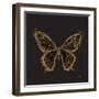 Aurelian Butterfly 2-Morgan Yamada-Framed Art Print