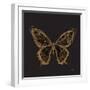 Aurelian Butterfly 2-Morgan Yamada-Framed Art Print