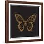Aurelian Butterfly 2-Morgan Yamada-Framed Art Print