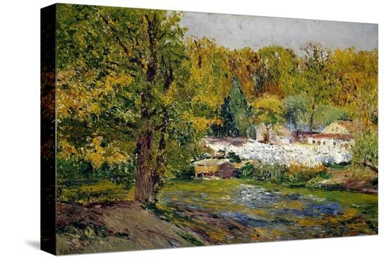 Stretched Canvas Print, , large