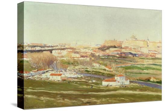 Stretched Canvas Print, , large
