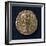 Aureus Bearing Image of Julia Domna, Wife of Septimius Severus, Recto, Roman Coins, 3rd Century AD-null-Framed Giclee Print