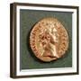 Aureus (Obverse) of Domitian (Ad 81-96) Wearing a Laurel Wreath. Inscription: Domitanvs Avgvstvs-null-Framed Giclee Print
