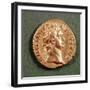 Aureus (Obverse) of Domitian (Ad 81-96) Wearing a Laurel Wreath. Inscription: Domitanvs Avgvstvs-null-Framed Giclee Print