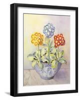 Auricula in a Chinese Pot-Karen Armitage-Framed Giclee Print