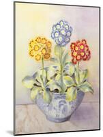 Auricula in a Chinese Pot-Karen Armitage-Mounted Giclee Print