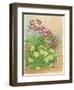 Auricula, Primrose and Nest, 1998-Linda Benton-Framed Premium Giclee Print