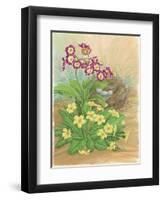 Auricula, Primrose and Nest, 1998-Linda Benton-Framed Premium Giclee Print