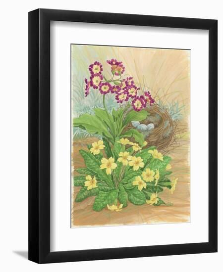 Auricula, Primrose and Nest, 1998-Linda Benton-Framed Premium Giclee Print