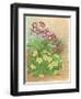 Auricula, Primrose and Nest, 1998-Linda Benton-Framed Premium Giclee Print