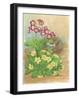 Auricula, Primrose and Nest, 1998-Linda Benton-Framed Giclee Print