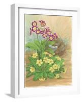 Auricula, Primrose and Nest, 1998-Linda Benton-Framed Giclee Print