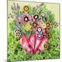 Auriculas, 2000-E.B. Watts-Mounted Giclee Print