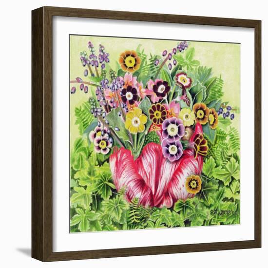 Auriculas, 2000-E.B. Watts-Framed Giclee Print