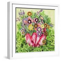 Auriculas, 2000-E.B. Watts-Framed Giclee Print