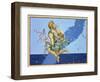 Auriga, the Constellation of the Northern Hemisphere, from "Uranometria"-Johann Bayer-Framed Giclee Print