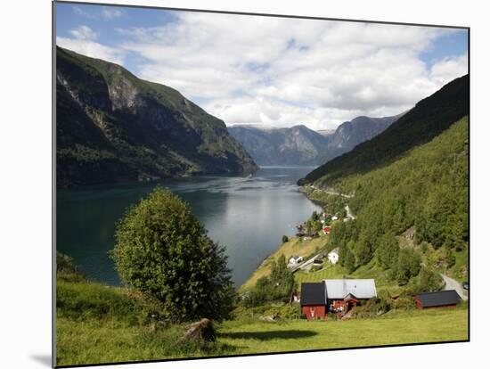 Aurlandsfjorden Near Flam, Sogn Og Fjordane, Norway, Scandinavia, Europe-Hans Peter Merten-Mounted Photographic Print