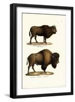 Aurochs, 1824-Karl Joseph Brodtmann-Framed Premium Giclee Print