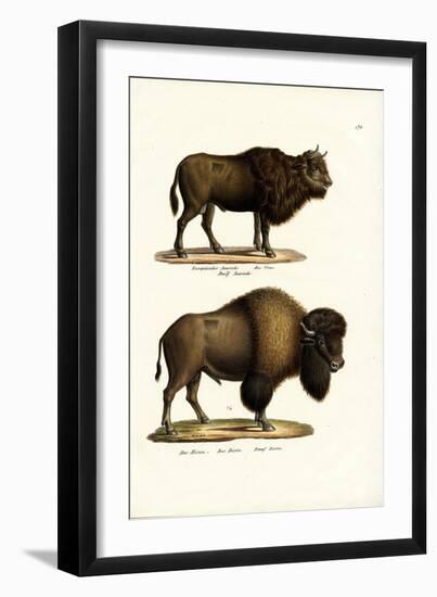 Aurochs, 1824-Karl Joseph Brodtmann-Framed Giclee Print