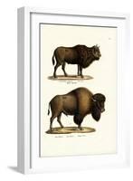 Aurochs, 1824-Karl Joseph Brodtmann-Framed Giclee Print