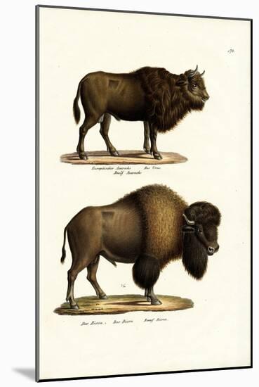 Aurochs, 1824-Karl Joseph Brodtmann-Mounted Giclee Print