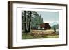 Aurochs of Lithuania, 1860-null-Framed Giclee Print