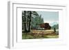 Aurochs of Lithuania, 1860-null-Framed Giclee Print