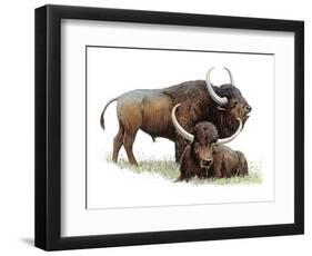 Aurochs-null-Framed Photographic Print