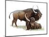 Aurochs-null-Mounted Photographic Print