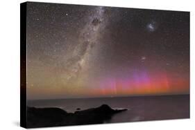 Aurora Australis And Milky Way-Alex Cherney-Stretched Canvas